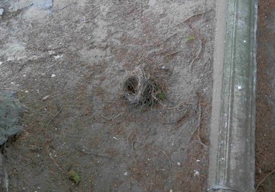 Lašťovka Milan, 2016