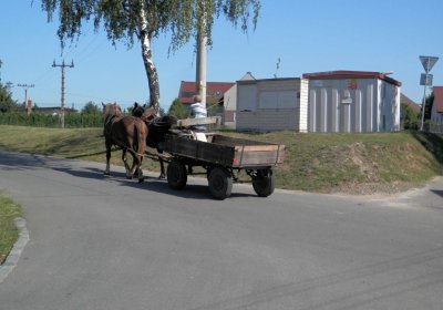 Lašťovka Milan, 2016