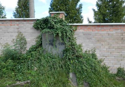 Lašťovka Milan, 2016