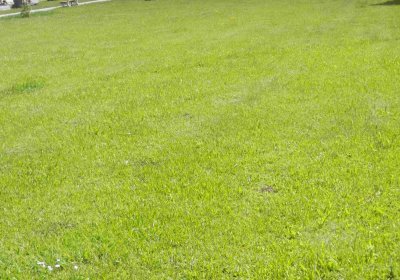 Lašťovka Milan, 2016