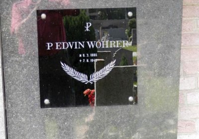 Lašťovka Milan, 2016