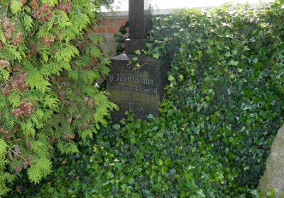 Lašťovka Milan, 2016