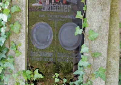 Lašťovka Milan, 2016