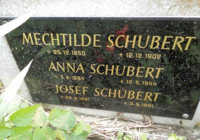 Lašťovka Milan, 2016