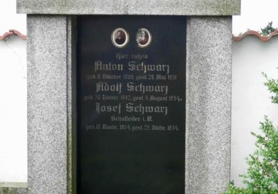 Lašťovka Milan, 2016