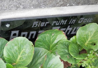 Lašťovka Milan, 2016