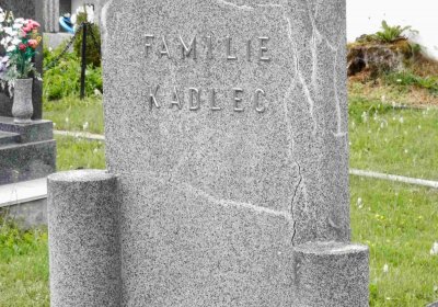 Lašťovka Milan, 2016