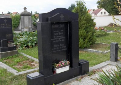 Lašťovka Milan, 2016