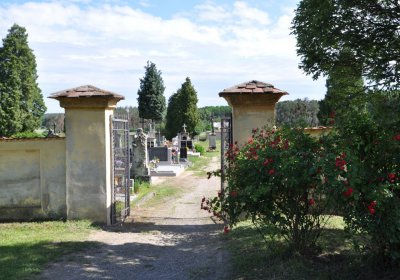 Bechlín, Omnium, 2020