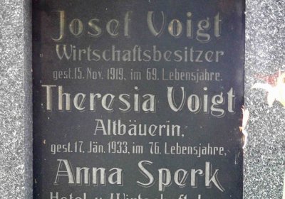 Lašťovka Milan, 2016