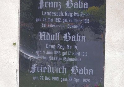 Lašťovka Milan, 2016