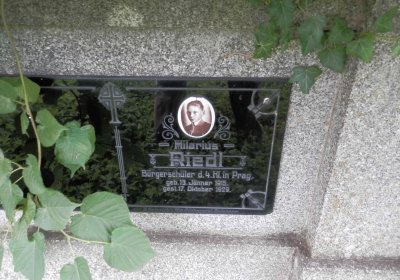 Lašťovka Milan, 2016