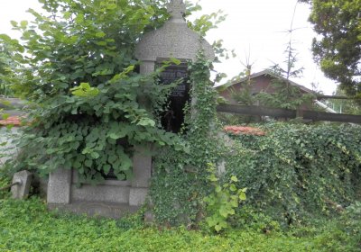 Lašťovka Milan, 2016