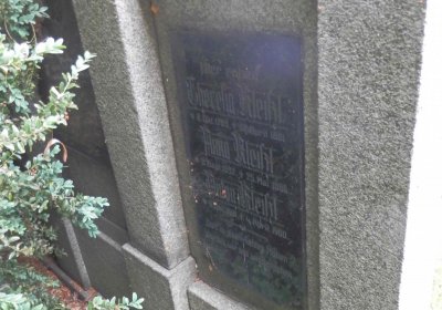 Lašťovka Milan, 2016