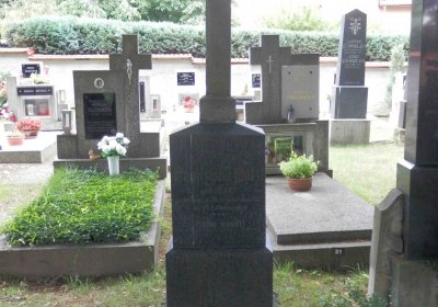 Lašťovka Milan, 2016