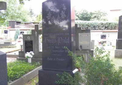 Lašťovka Milan, 2016