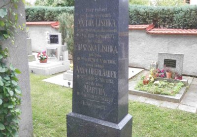 Lašťovka Milan, 2016