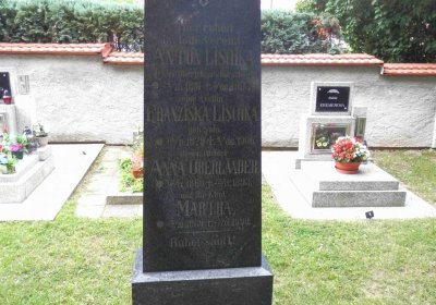 Lašťovka Milan, 2016