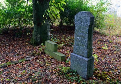 Šimůnek Tomáš, 2016