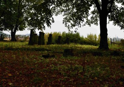 Šimůnek Tomáš, 2016