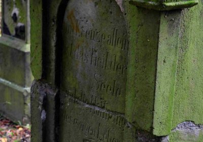 Šimůnek Tomáš, 2016