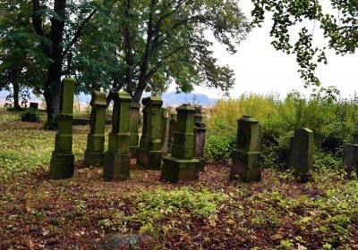 Šimůnek Tomáš, 2016