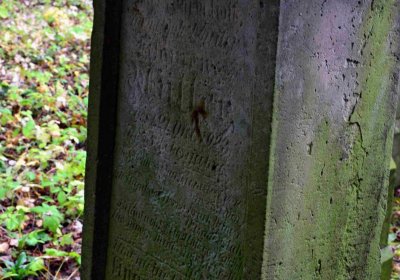 Šimůnek Tomáš, 2016