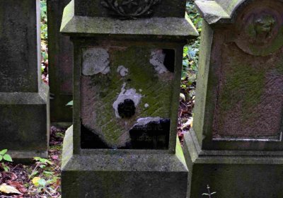 Šimůnek Tomáš, 2016