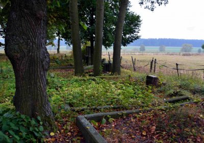 Šimůnek Tomáš, 2016