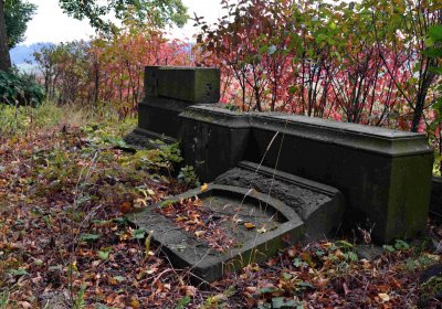 Šimůnek Tomáš, 2016