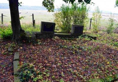 Šimůnek Tomáš, 2016