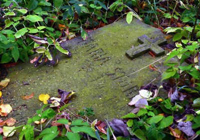 Šimůnek Tomáš, 2016