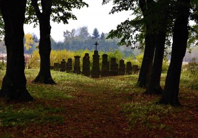 Šimůnek Tomáš, 2016