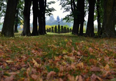 Šimůnek Tomáš, 2016