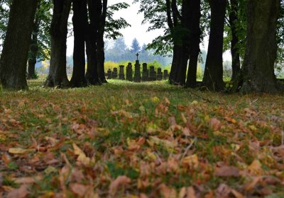 Šimůnek Tomáš, 2016