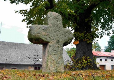 Šimůnek Tomáš, 2016