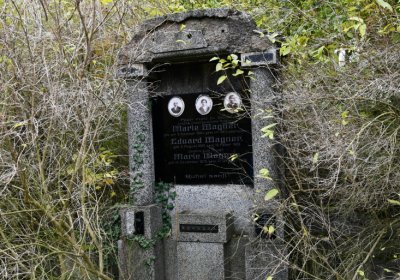 Horní Jiřetín, Omnium, 2020