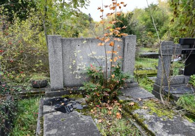 Horní Jiřetín, Omnium, 2020