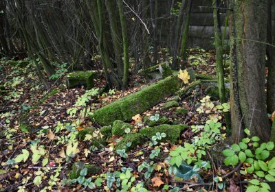 Horní Jiřetín, Omnium, 2020