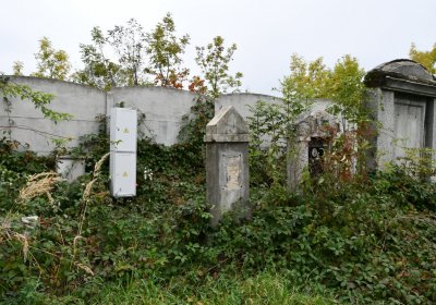 Horní Jiřetín, Omnium, 2020