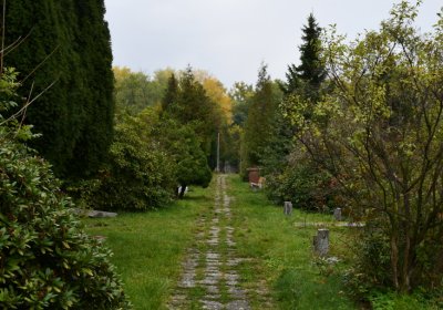 Horní Jiřetín, Omnium, 2020