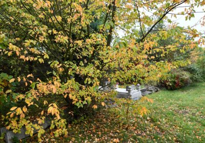 Horní Jiřetín, Omnium, 2020