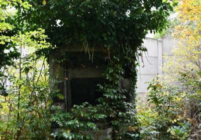 Horní Jiřetín, Omnium, 2020