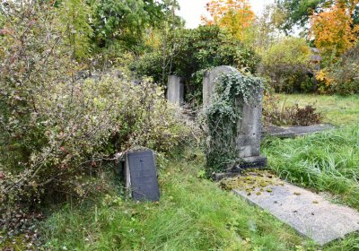 Horní Jiřetín, Omnium, 2020