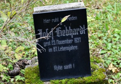 Horní Jiřetín, Omnium, 2020