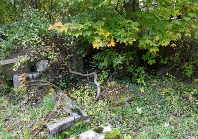 Horní Jiřetín, Omnium, 2020