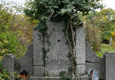 Horní Jiřetín, Omnium, 2020