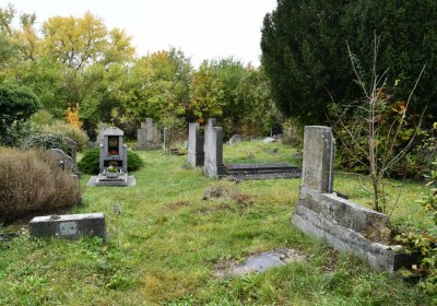 Horní Jiřetín, Omnium, 2020