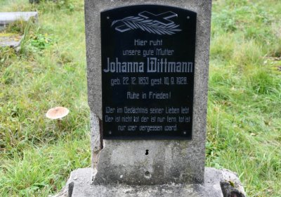 Horní Jiřetín, Omnium, 2020