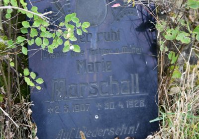 Horní Jiřetín, Omnium, 2020